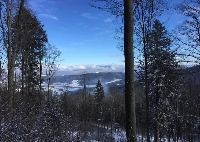 Waldheimat Chalet Miltach