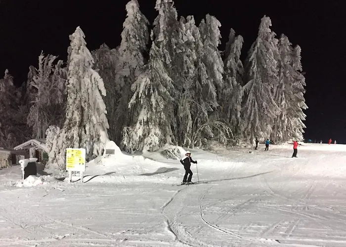 Chalet Waldheimat Miltach