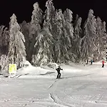 Шале Waldheimat Miltach