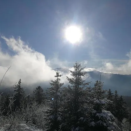 Waldheimat Chalet *