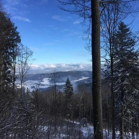 Waldheimat Chalet Miltach