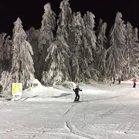 Chalet Waldheimat Miltach