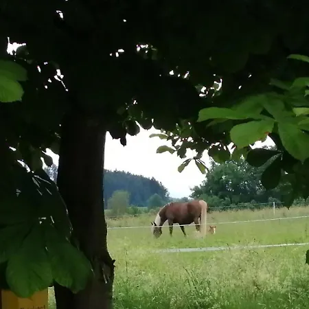 Waldheimat